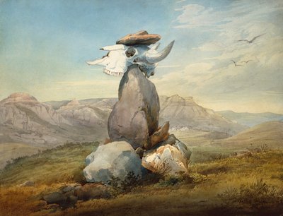 Assinboin Medicijnteken door Karl Bodmer