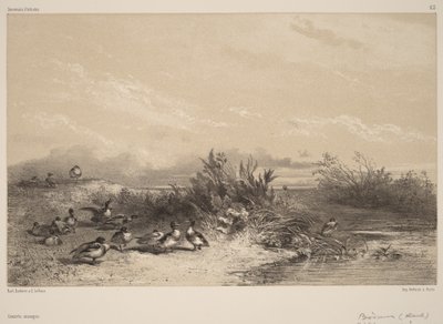  door Karl Bodmer