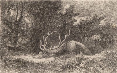 Rustende hert door Karl Bodmer