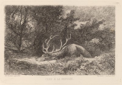 Rustende hert door Karl Bodmer