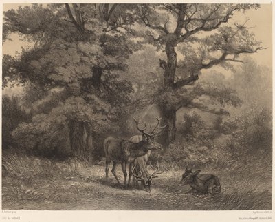 Herten in de weide door Karl Bodmer
