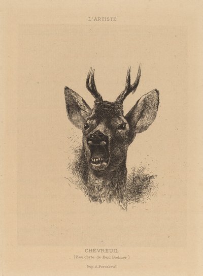 Hert door Karl Bodmer