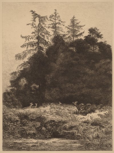  door Karl Bodmer