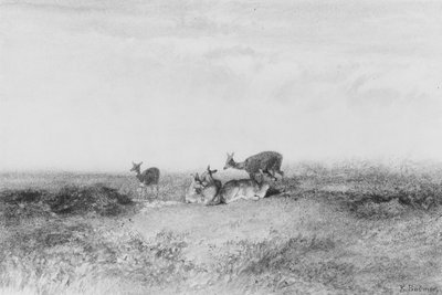 Herten in een landschap door Karl Bodmer