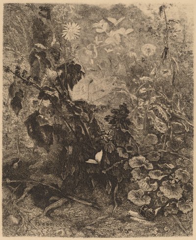 Slakken en Vlinders door Karl Bodmer