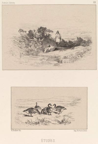 Studies door Karl Bodmer