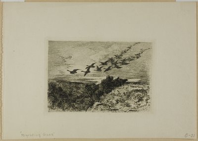 Vliegende ganzen door Karl Bodmer