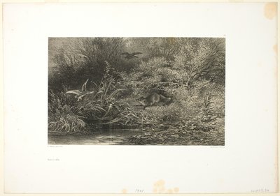 Vos op jacht door Karl Bodmer