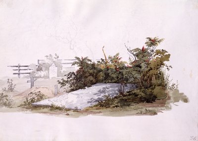 Graf van de Broeders in Gnadenhutten door Karl Bodmer