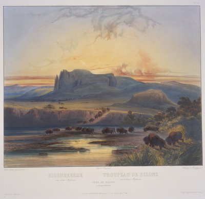 Kudde bizons aan de Upper Missouri door Karl Bodmer
