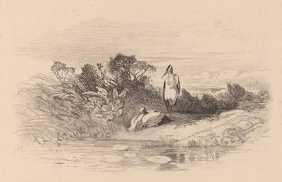 Reigers door Karl Bodmer