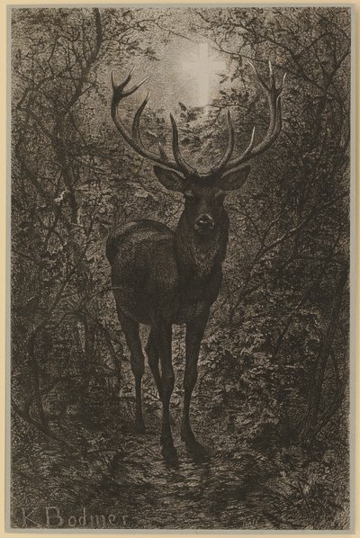  door Karl Bodmer