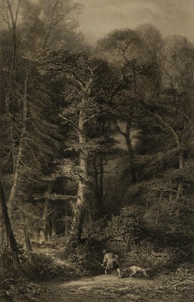 Bos interieur door Karl Bodmer