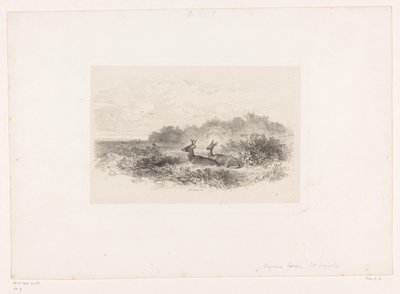 Landschap met twee witstaartherten door Karl Bodmer