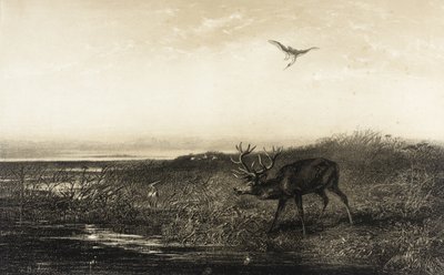  door Karl Bodmer