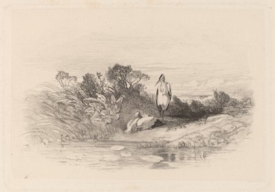De Twee Reigers door Karl Bodmer