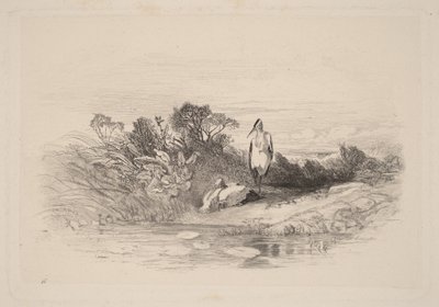  door Karl Bodmer