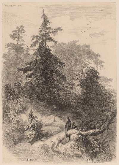 De Fazanten door Karl Bodmer