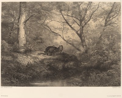 Wilde zwijnen door Karl Bodmer
