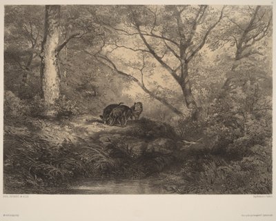  door Karl Bodmer