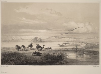  door Karl Bodmer