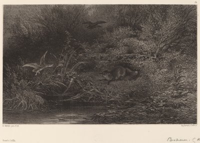Vos op de loer door Karl Bodmer
