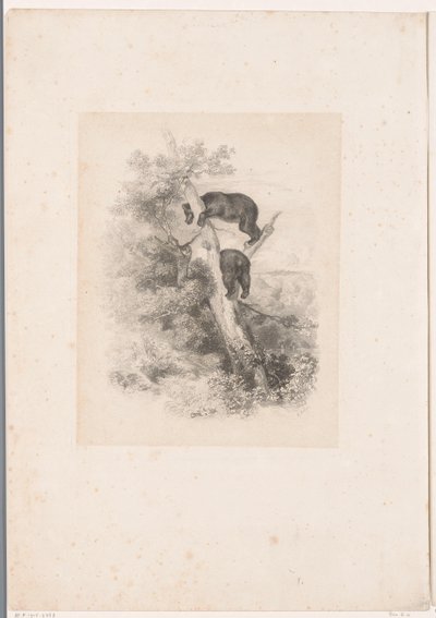 Twee beren in een boom door Karl Bodmer