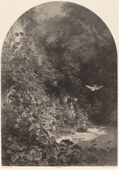 Een hoek van de tuin door Karl Bodmer