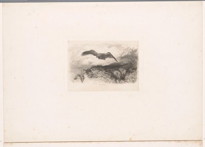 Vliegende arend door Karl Bodmer