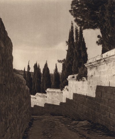 Jeruzalem, Hof van Getsemane door Karl Grober