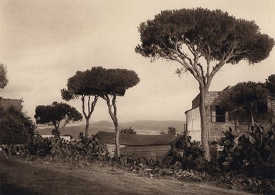 Libanon, Landschap door Karl Grober