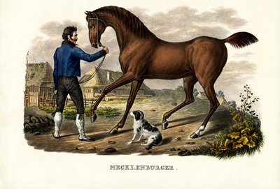 Mecklenburger paard, 1824 door Karl Joseph Brodtmann