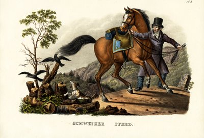 Zwitserse paard, 1824 door Karl Joseph Brodtmann