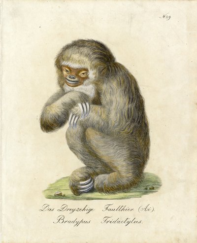  door Karl Joseph Brodtmann