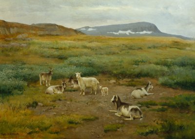 Geiten in het gras door Karl K. Uchermann