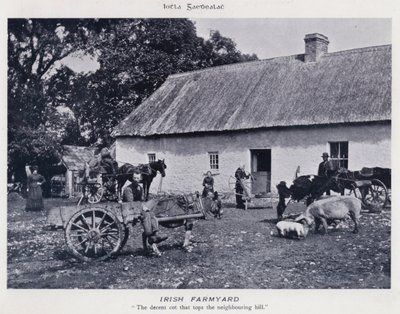 Ierse boerderij (zwart-wit foto) door Karl Karlovich Piratsky