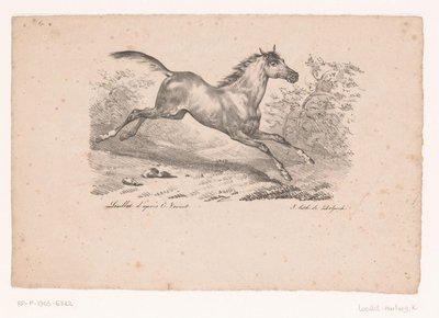 Galopperend paard in landschap door Karl Loeillot Hartwig