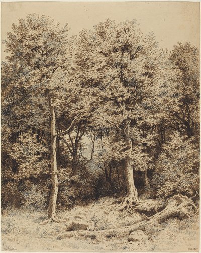 Een bosje bomen door Karl Theodor Reiffenstein