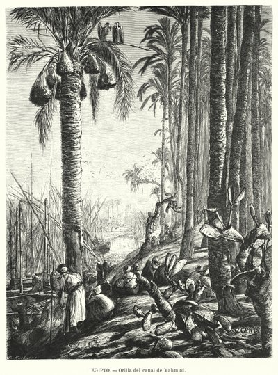 Oevers van het Mahmoudiyah-kanaal, Egypte door Karl Wilhelm Gentz