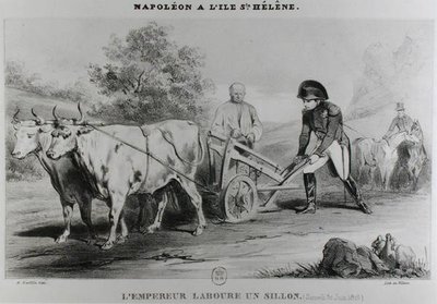 Napoleon (1769-1821) op St. Helena, gegraveerd door Francois le Villain door Karl after Loeillot Hartwig