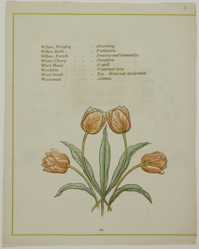Decoratieve illustratie, uit De verlichte taal van bloemen door Kate Greenaway