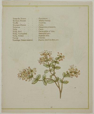 Valeriaan door Volkamenia, uit De Verlichte Taal van Bloemen door Kate Greenaway