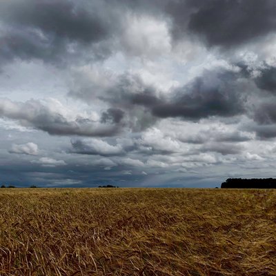Stormachtige lucht boven een late zomeroogst 2020 door Katha Wood