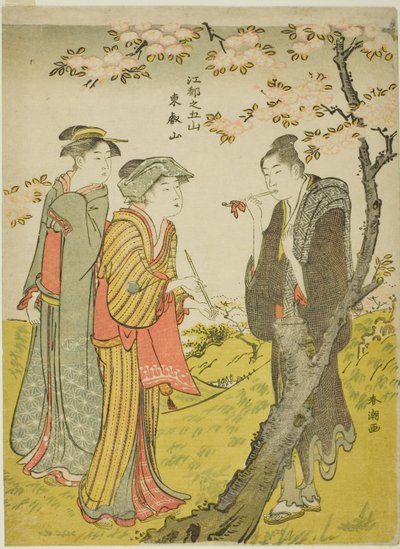 Toei Heuvel (Toeizan), uit de serie 