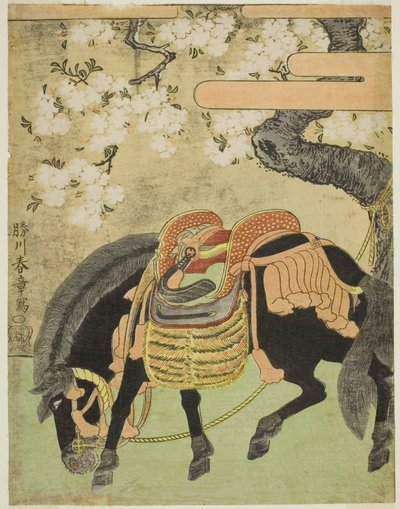 Zwart paard vastgebonden onder een bloeiende kersenboom door Katsukawa Shunsho