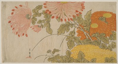 Chrysanten, c.1780 door Katsukawa Shunsho