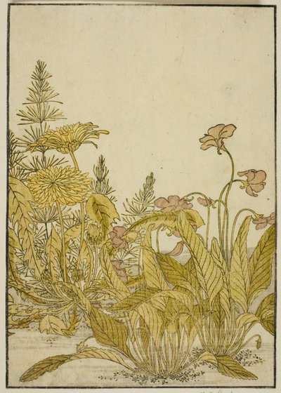 Lentebloemen: Viooltjes en paardenbloemen, uit het boek 