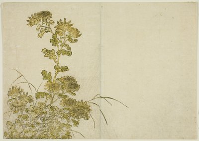 Winterbloemen: Chrysanten, uit het boek "Spiegel van mooie vrouwen van de plezierwijken (Seiro bijin awase sugata kagami)," deel 1 door Katsukawa Shunsho