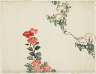 Morgenroos en Rode Bloemen door Katsushika (school of) Hokusai