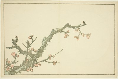 Bloeiende Pruimenboom, uit Het Prentenboek van Realistische Schilderijen van Hokusai (Hokusai shashin gafu) door Katsushika Hokusai
